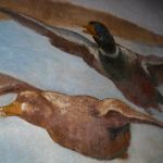 Enten-Bild auf Orgelstube